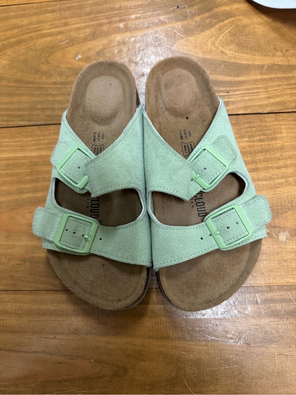 Women's Double-Buckle Suede Slide Sandals in Mint Green